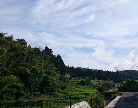 DSC_0100
