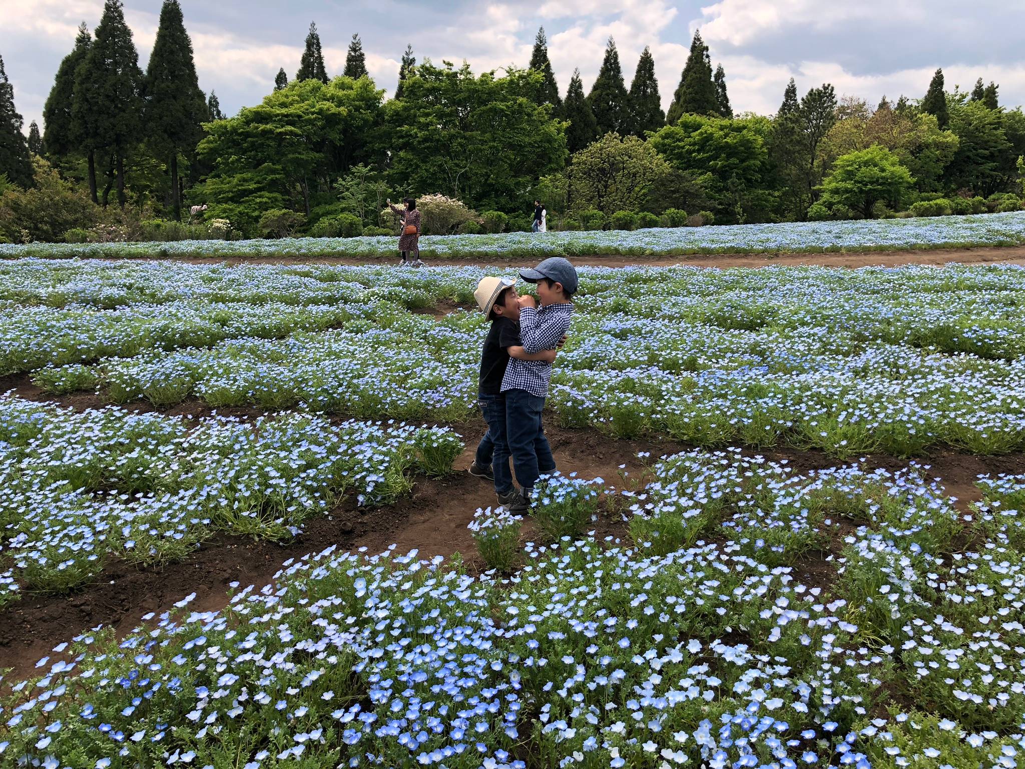 令和元年こどもの日inくじゅう花公園 ジョブズ情報通信 熊本市のリフォーム工事はリフォームのジョブズへ 令和元年こどもの日inくじゅう花公園 ジョブズ情報通信 熊本市のリフォーム工事はリフォームのジョブズへ